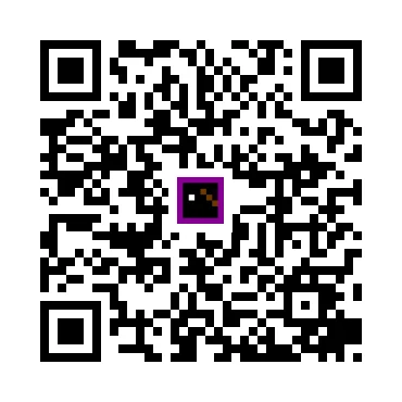 skins.qr_code_alt