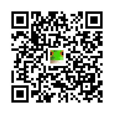 skins.qr_code_alt