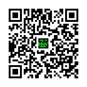 skins.qr_code_alt