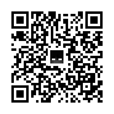 skins.qr_code_alt