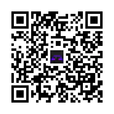 skins.qr_code_alt