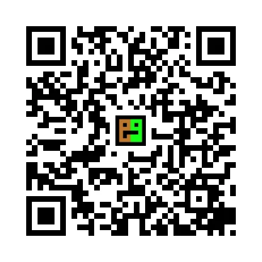 skins.qr_code_alt
