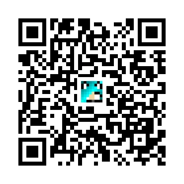 skins.qr_code_alt
