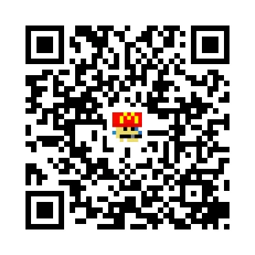 skins.qr_code_alt