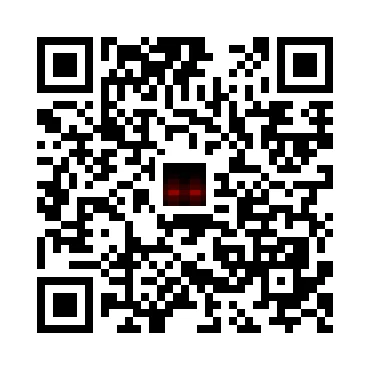 skins.qr_code_alt