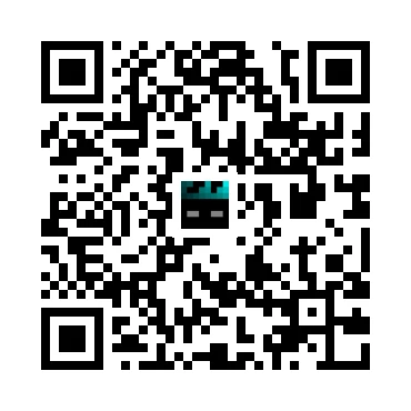 skins.qr_code_alt