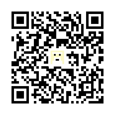 skins.qr_code_alt