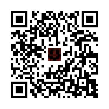skins.qr_code_alt