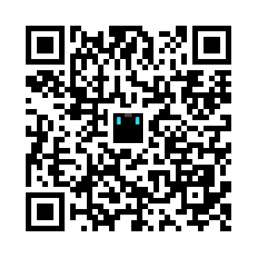 skins.qr_code_alt