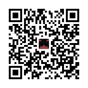 skins.qr_code_alt