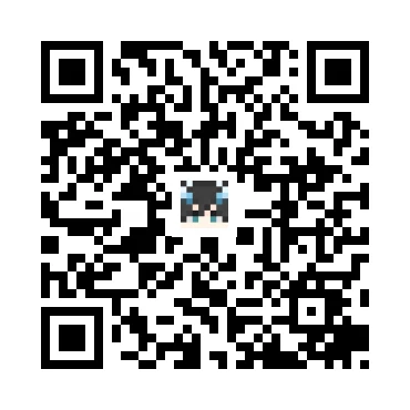 skins.qr_code_alt
