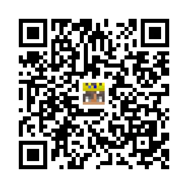 skins.qr_code_alt