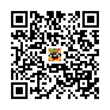 skins.qr_code_alt