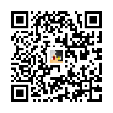 skins.qr_code_alt