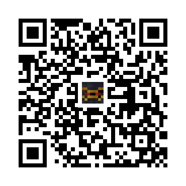 skins.qr_code_alt