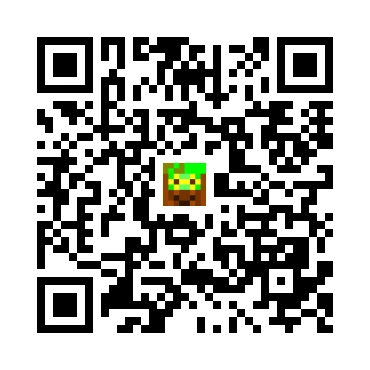 skins.qr_code_alt