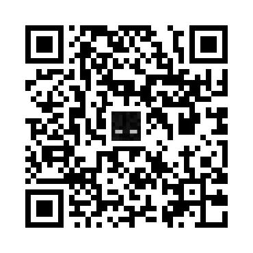 skins.qr_code_alt