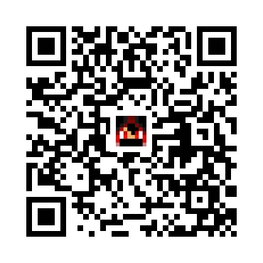 skins.qr_code_alt