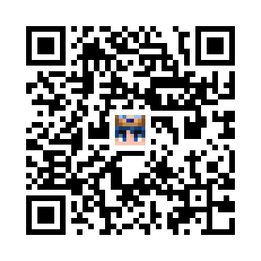 skins.qr_code_alt