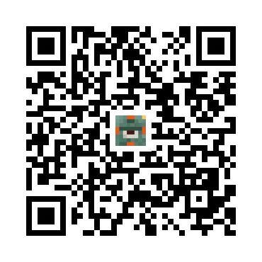 skins.qr_code_alt