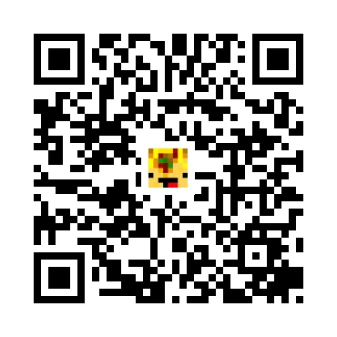 skins.qr_code_alt