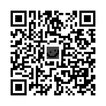 skins.qr_code_alt