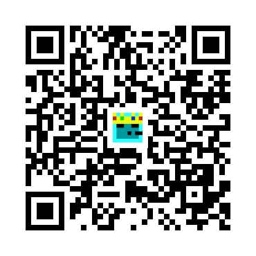 skins.qr_code_alt