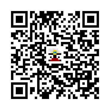 skins.qr_code_alt