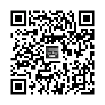 skins.qr_code_alt