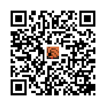 skins.qr_code_alt