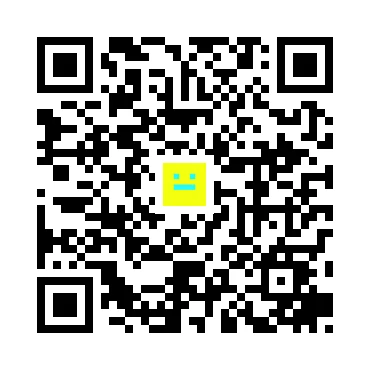 skins.qr_code_alt