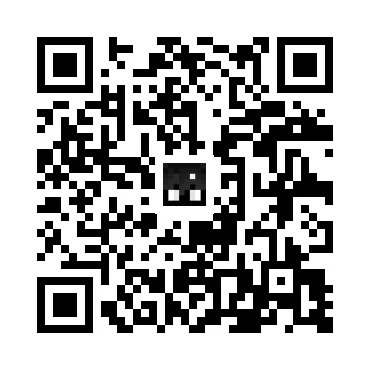 skins.qr_code_alt