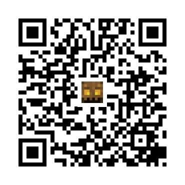 skins.qr_code_alt