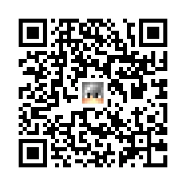 skins.qr_code_alt