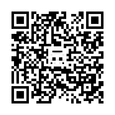 skins.qr_code_alt