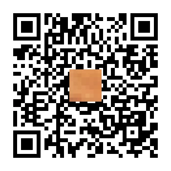 skins.qr_code_alt