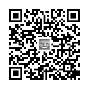 skins.qr_code_alt