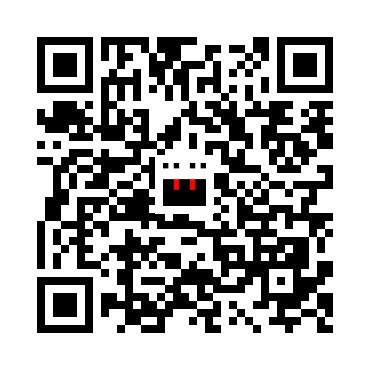 skins.qr_code_alt