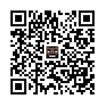 skins.qr_code_alt