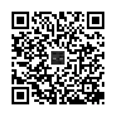 skins.qr_code_alt