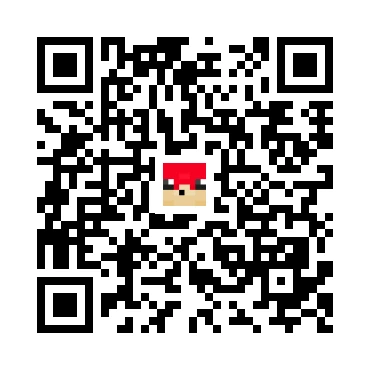 skins.qr_code_alt