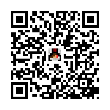 skins.qr_code_alt