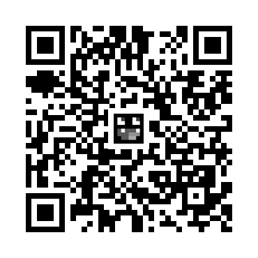 skins.qr_code_alt