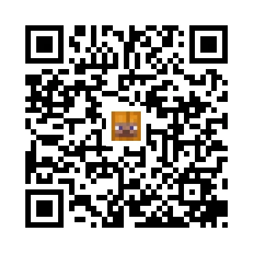 skins.qr_code_alt