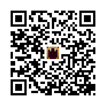 skins.qr_code_alt
