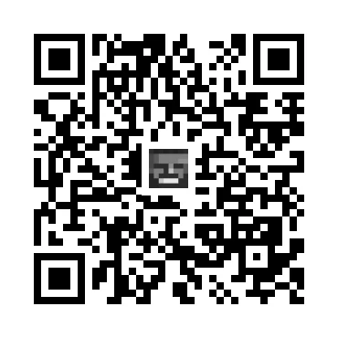 skins.qr_code_alt
