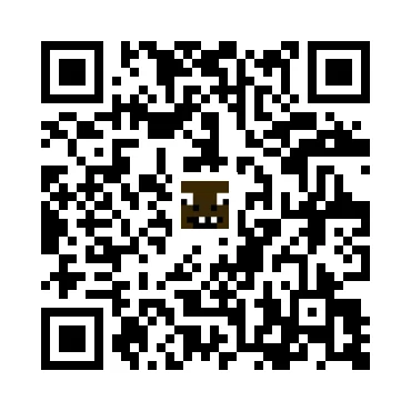 skins.qr_code_alt