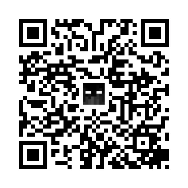 skins.qr_code_alt