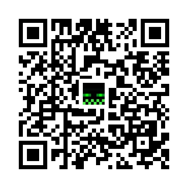 skins.qr_code_alt