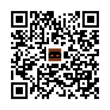 skins.qr_code_alt